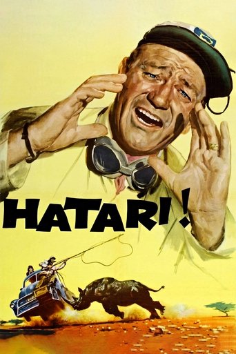 Hatari – plakat