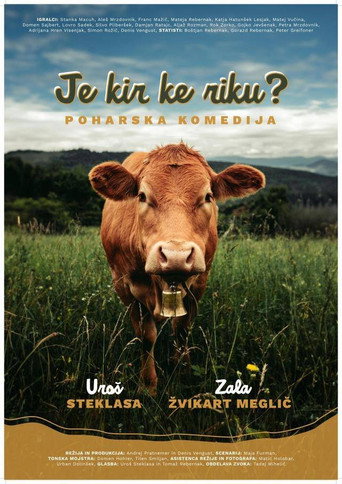 Je kir ke riku? Poharska komedija – plakat