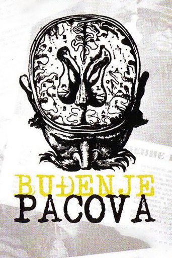 Buđenje pacova – plakat