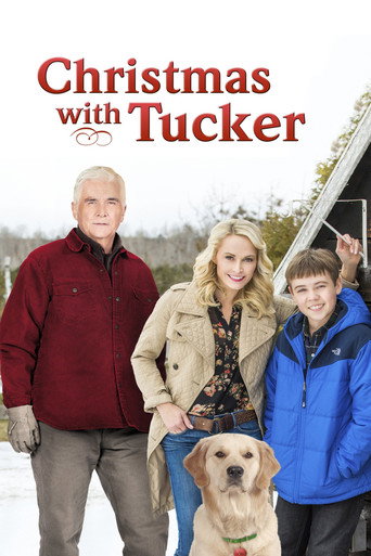 Božić s Tuckerom – plakat