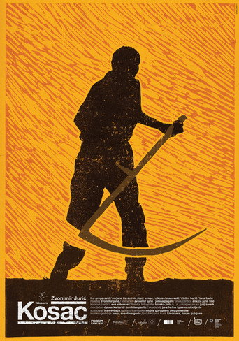 Kosac – plakat