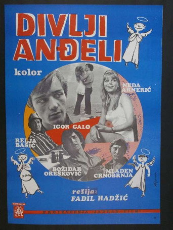 Divlji anđeli – plakat