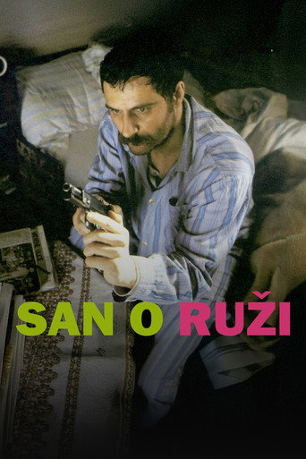 San o ruži – plakat
