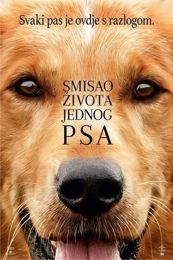 Smisao života jednog psa – plakat