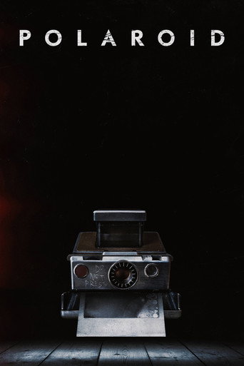 Polaroid – plakat