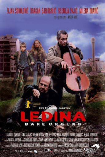 Ledina – plakat