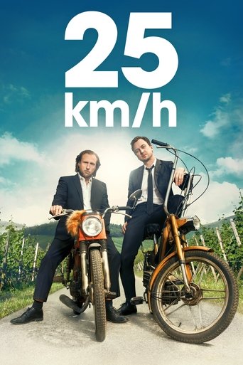 25 km/h – plakat
