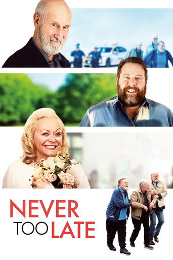 Nikad nije prekasno – plakat