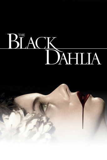 Crna Dalija – plakat