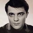 Dušan Janićijević