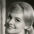 Diane McBain